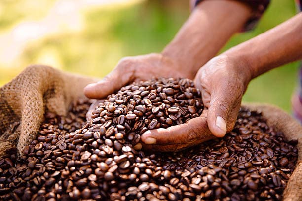 Organic Coffee Beans